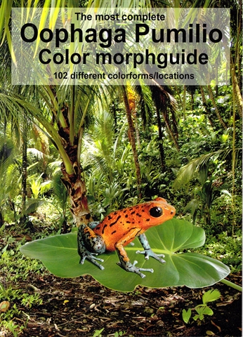 Pumilio morphguide